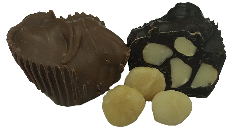 Macadamia Cluster